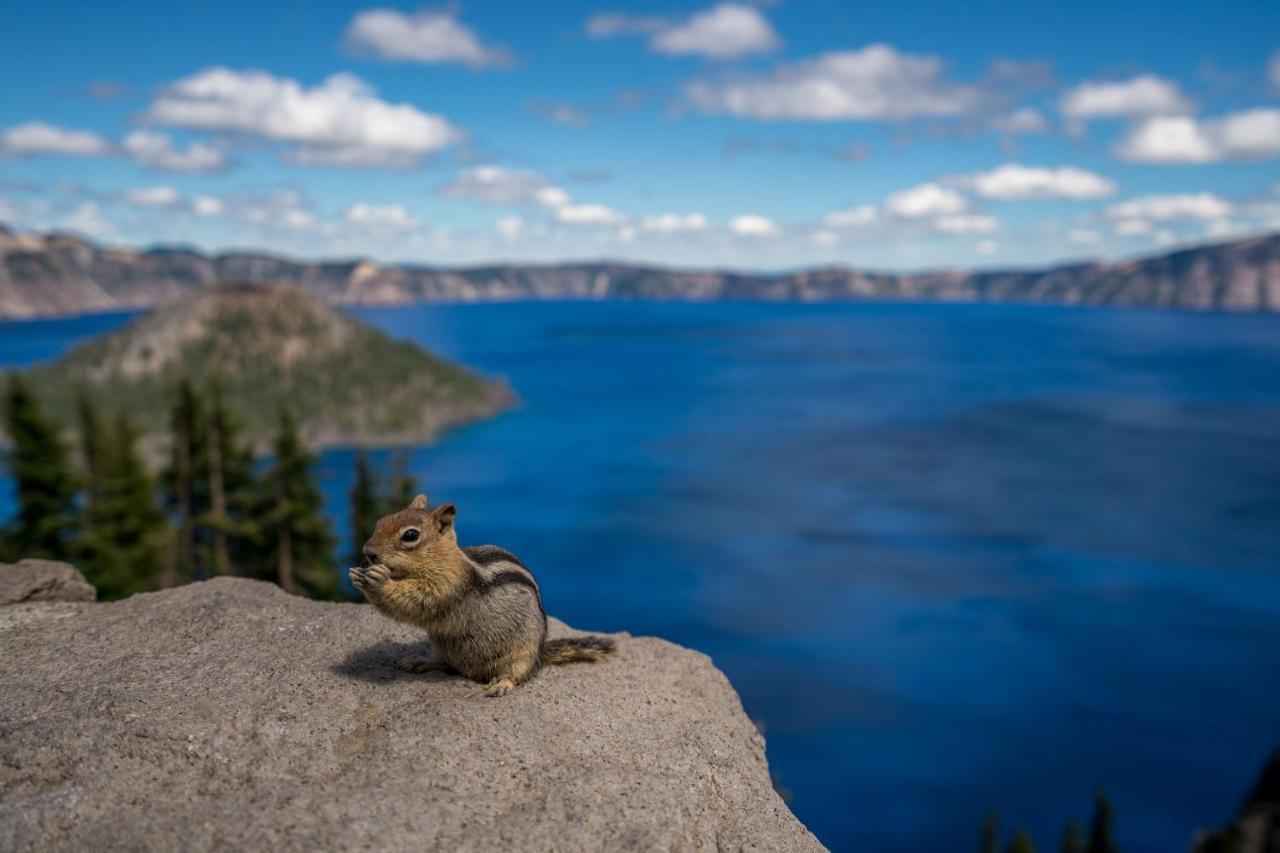 Crater Lake Resort Fort Klamath 外观 照片